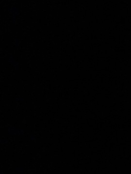 Bottle Service Model Boston Slim Black