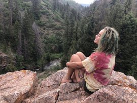 Denver Festival Model